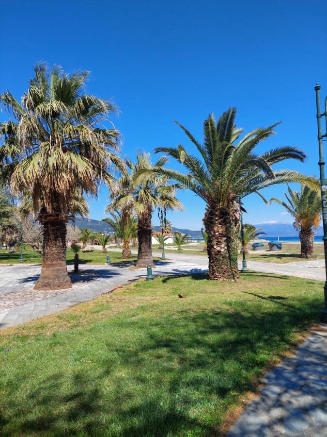 Orange Tree Apartment Asprovalta Dış mekan fotoğraf