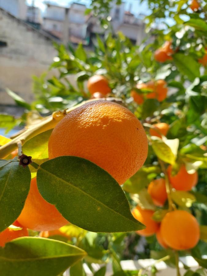 Orange Tree Apartment Asprovalta Dış mekan fotoğraf